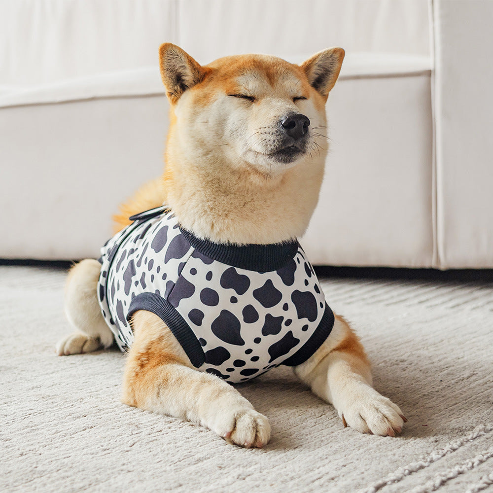 高弹狗狗绝育服大中小狗通用宠物衣服手术服防舔公母狗断奶护理服