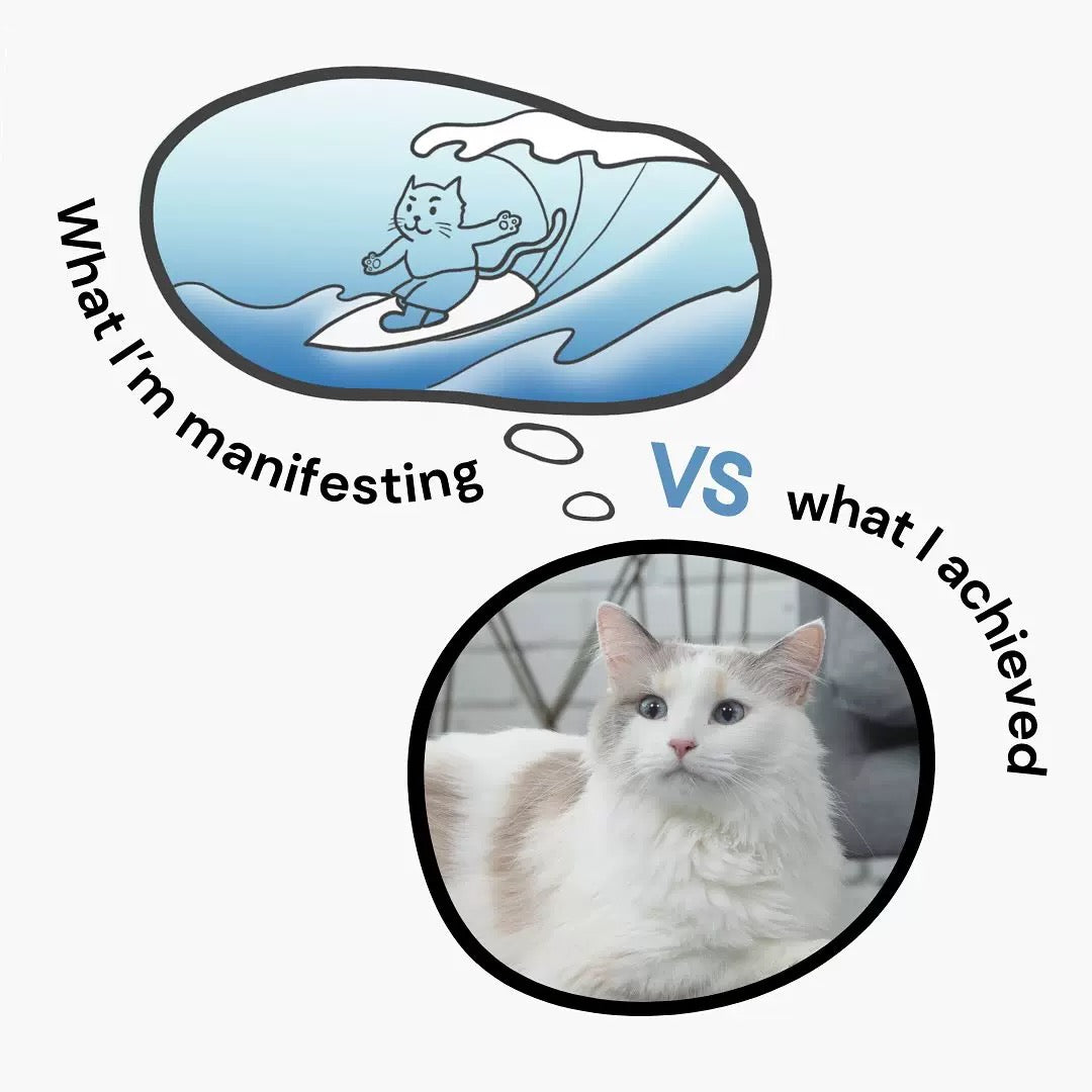 Wave-Shape Concubine Cat Chair