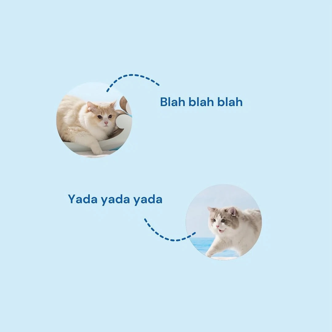 Wave-Shape Concubine Cat Chair