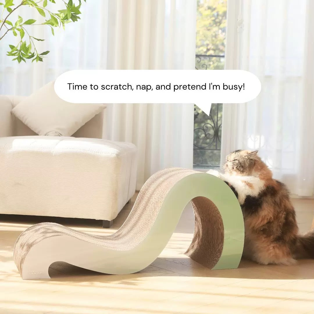 Big M Shape Cat Scracher