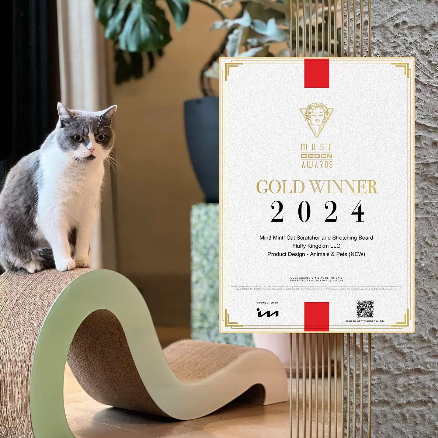 Big M Shape Cat Scracher