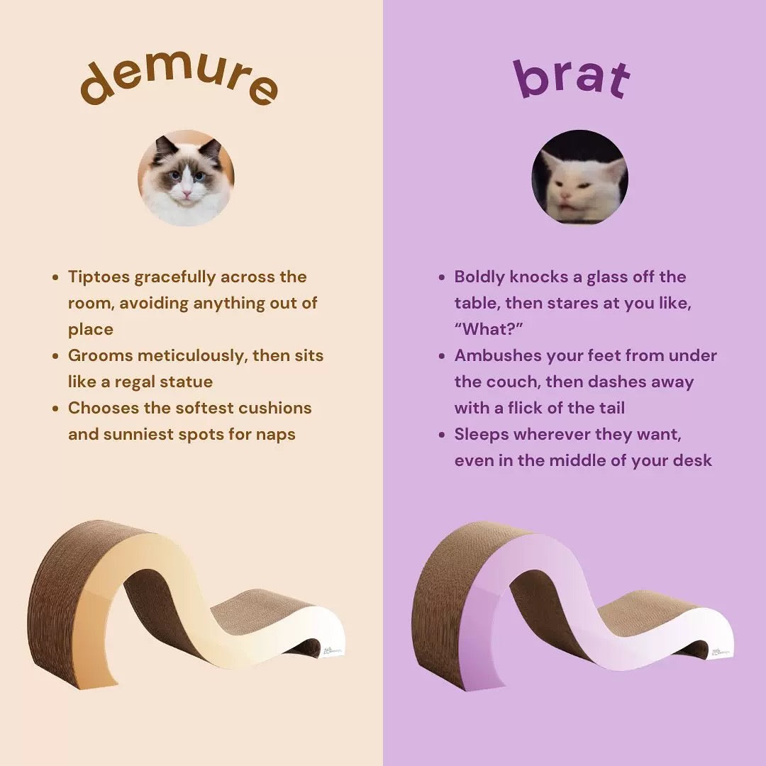 Big M Shape Cat Scracher