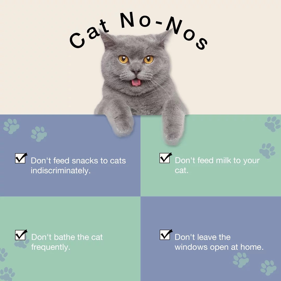 Big M Shape Cat Scracher