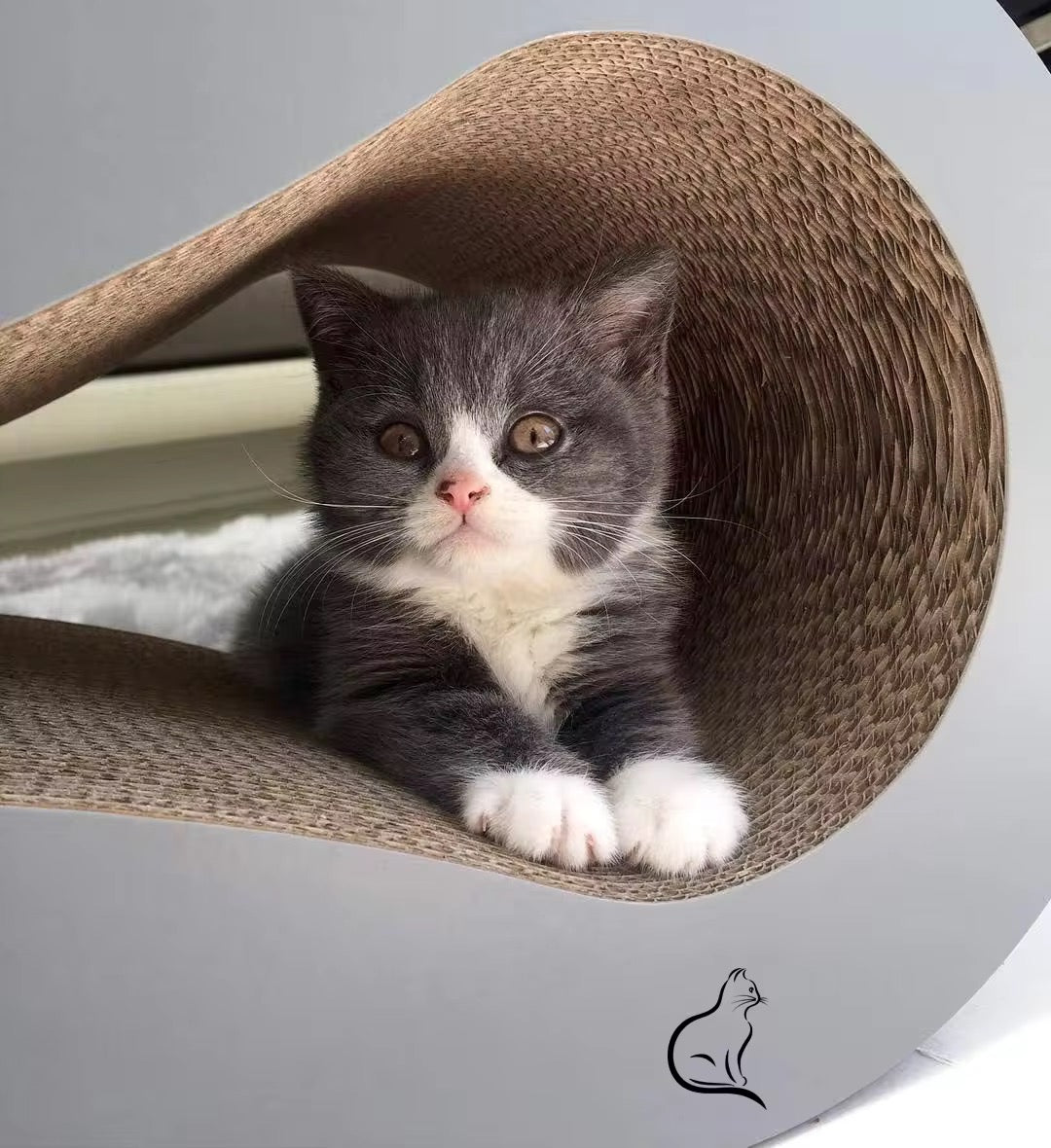 Big M Shape Cat Scracher