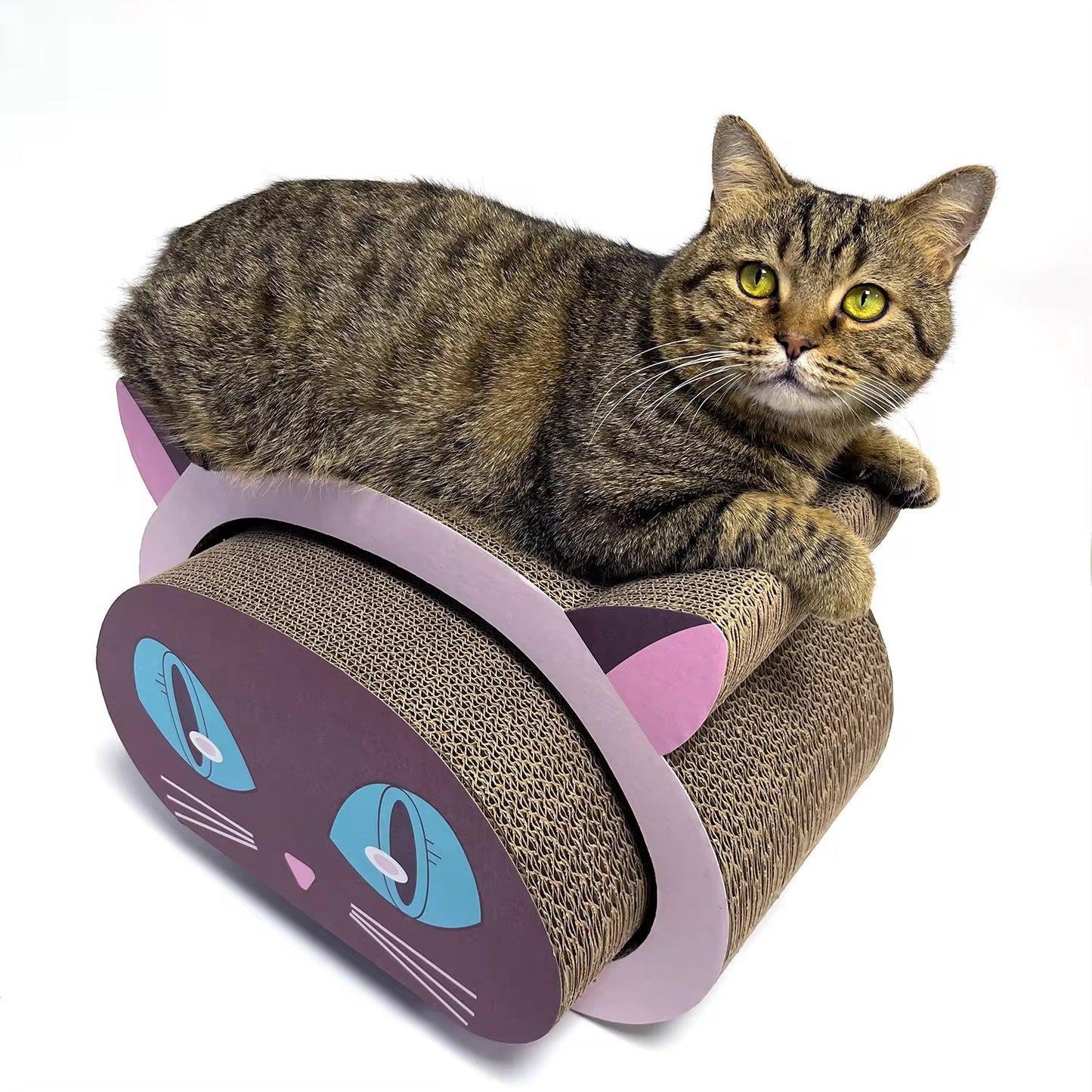 2-in-1 Cat Head Scratcher