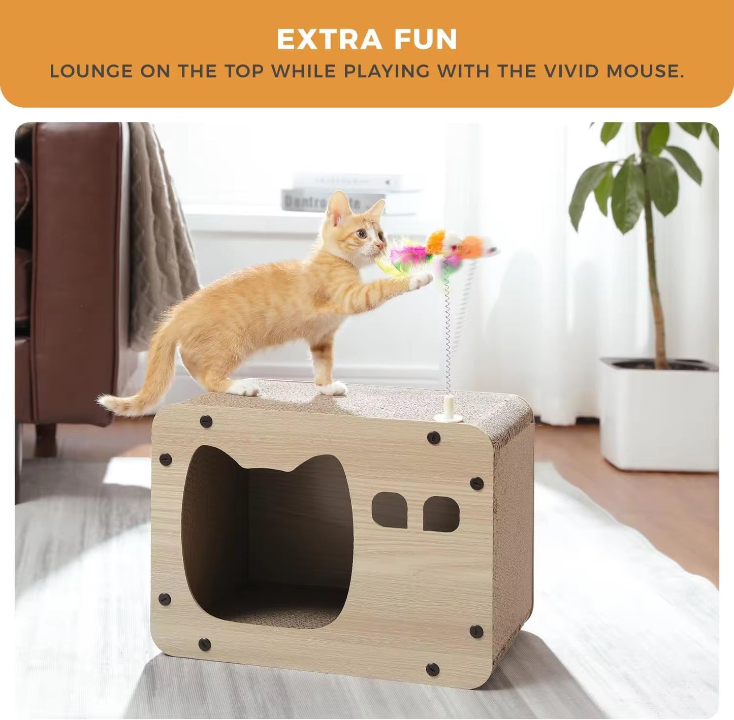 INS Style Cat House