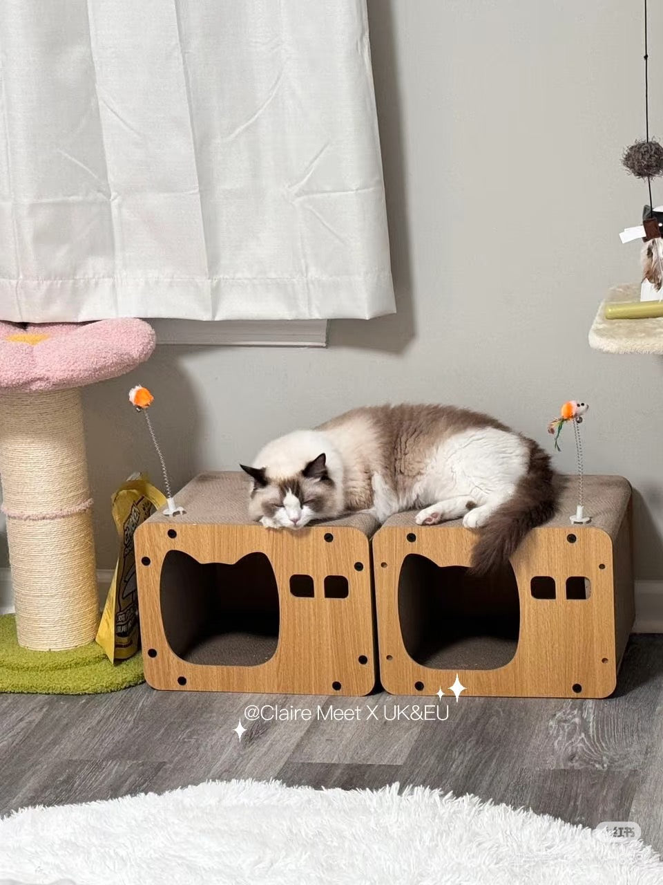 INS Style Cat House