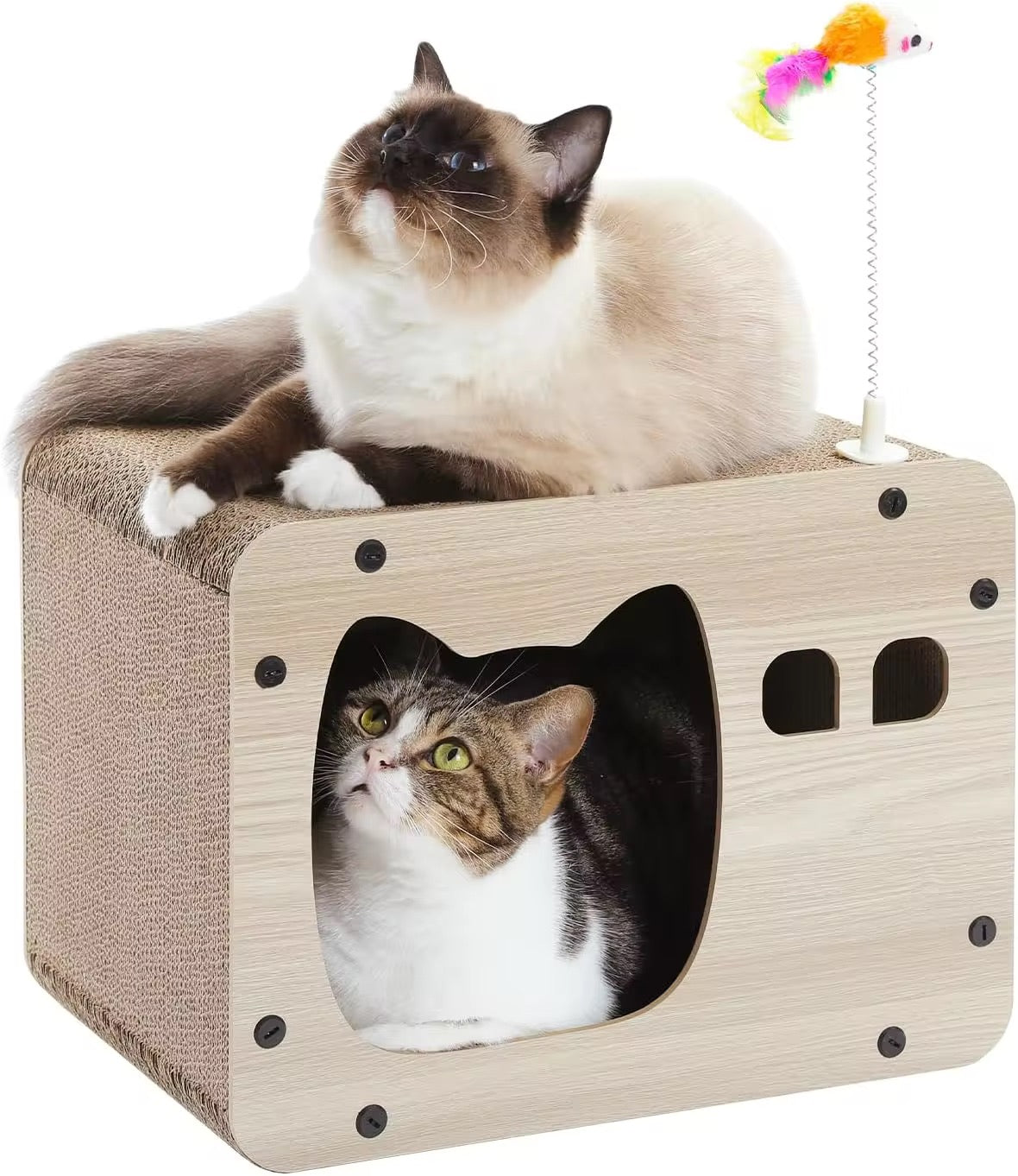 INS Style Cat House