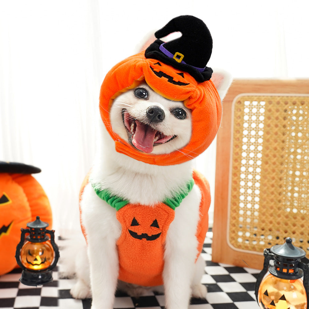 Dog Halloween Christmas Transformation Costume Funny Cat Cat Two-legged Pet Teddy Dog Clothing Supplies