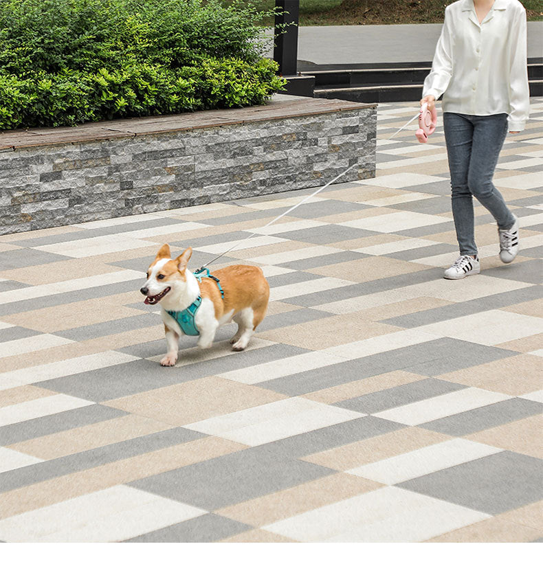 Pet Leash Retractable Adjustable Safety Dog Walking Leash Cross-border Wholesale Reflective Leash for Dogs3m Tractor